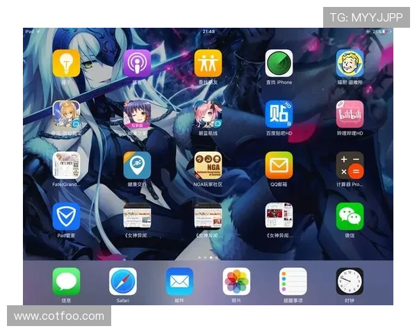 在AGAPP官网如何进行游戏充值与支付方式安全保障措施介绍