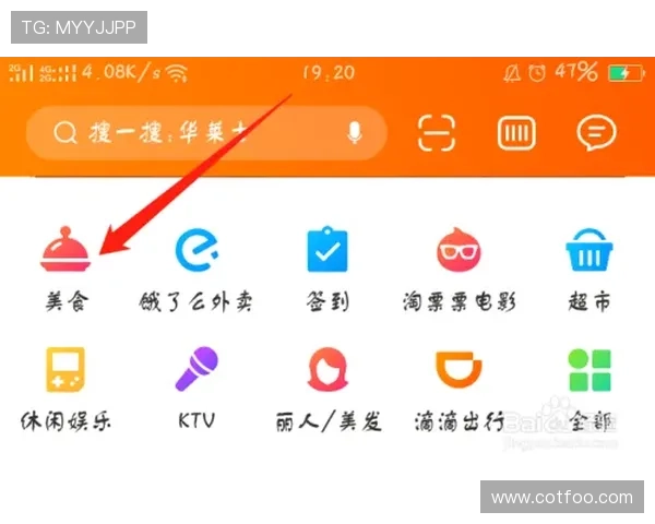 大游bg视讯app用户评价与口碑分析，了解真实玩家的使用体验与建议